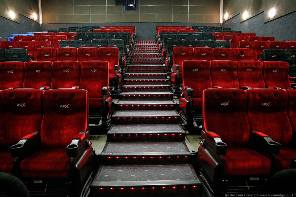 Сборы калининградских кинотеатров в новогодние каникулы увеличились на треть
