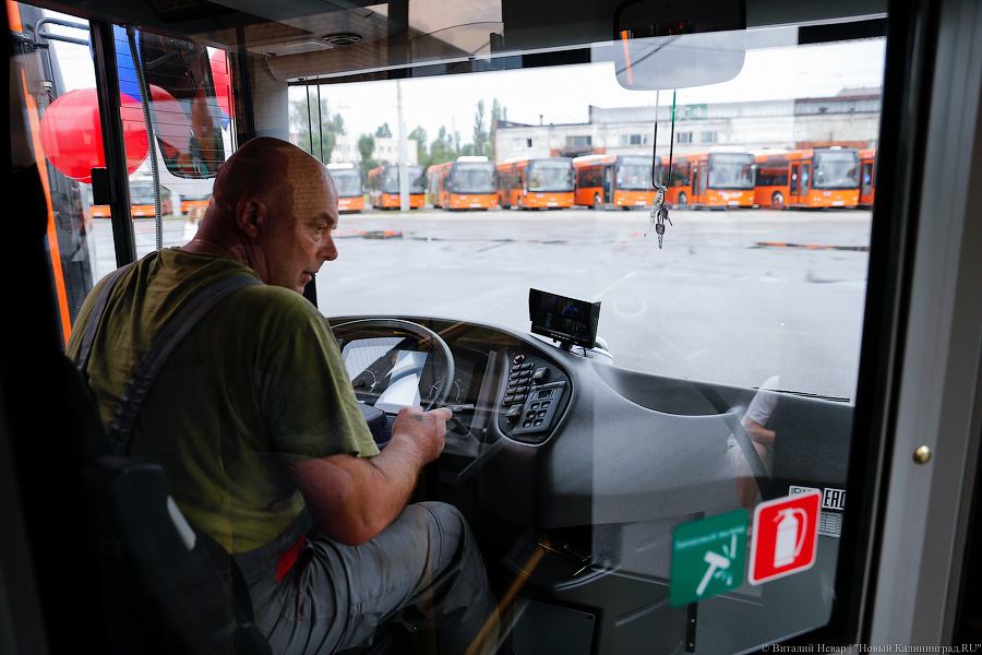 Оранжевое счастье: Калининграду передали 100 новых автобусов МАЗ (фото)