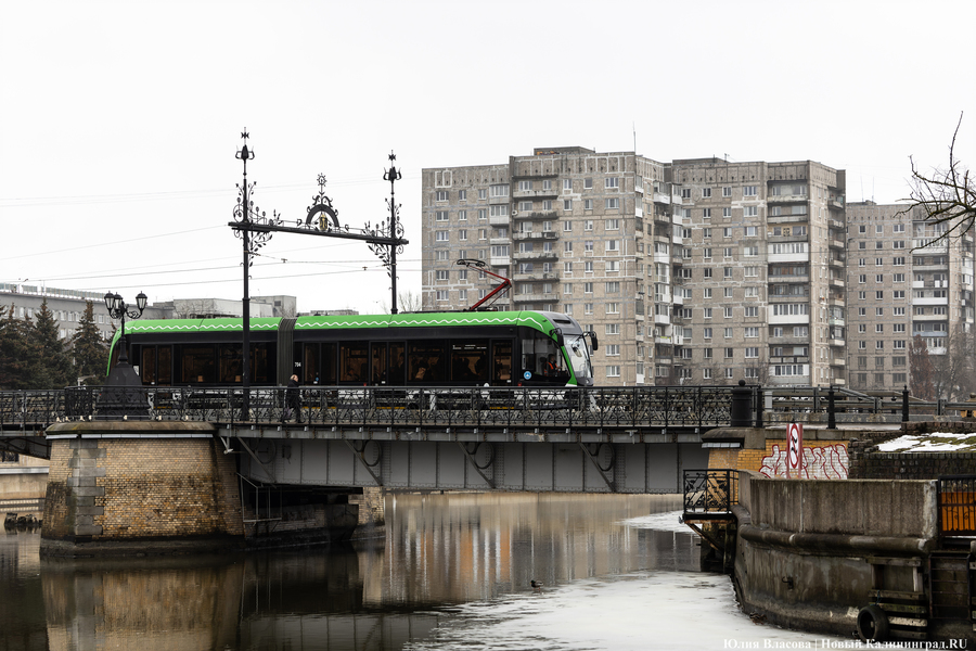 Фото: Юлия Власова / Новый Калининград 