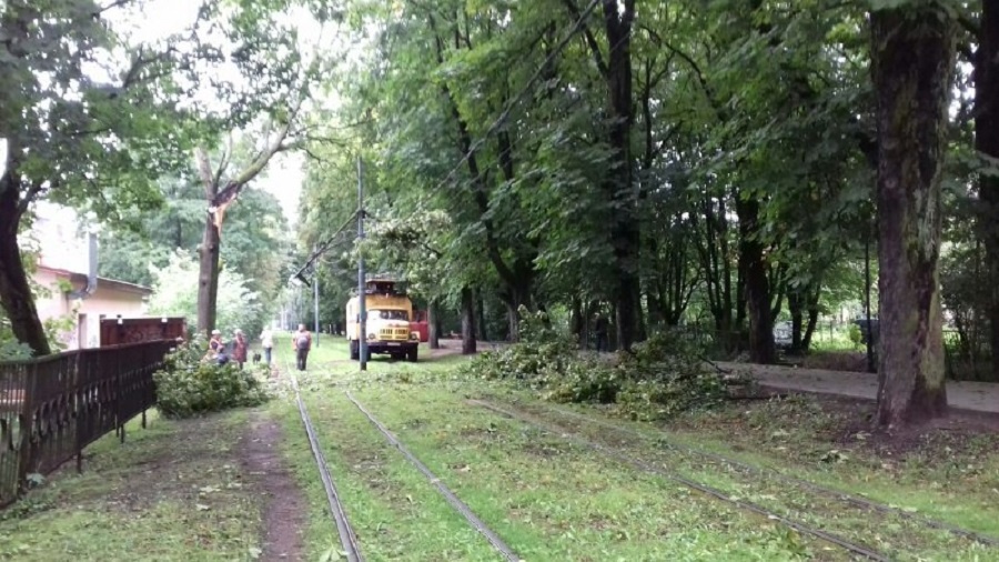 Из-за ночного урагана заблокировано движение трамваев в районе ул. Карла Маркса (фото)