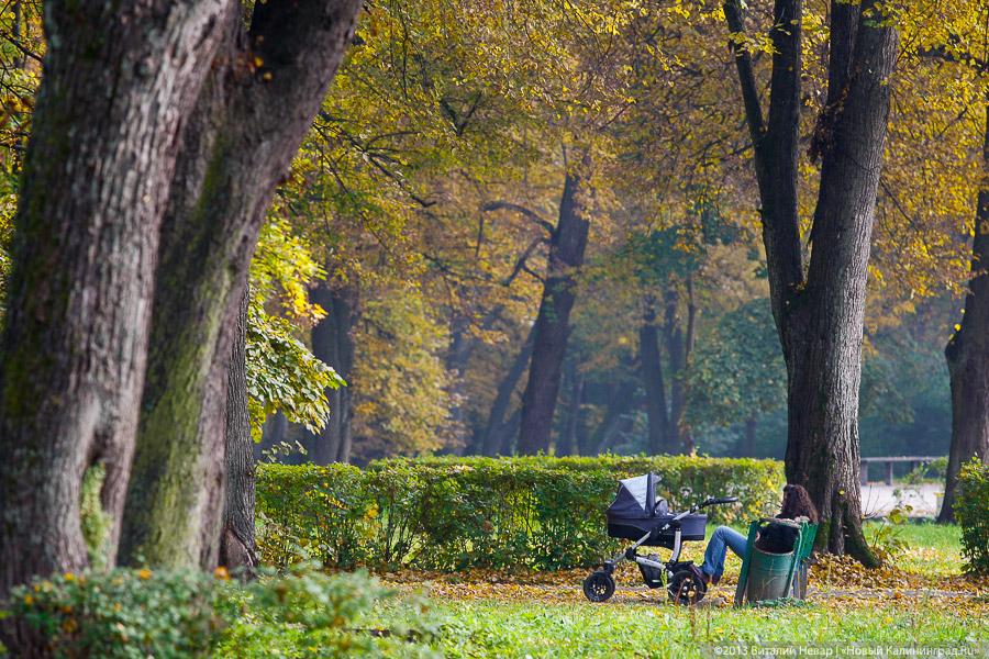 Днём совсем не страшно: осенний Балтийский парк