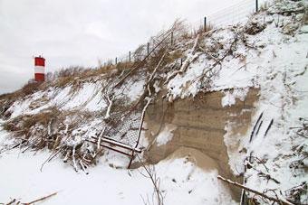 Правительство: на восстановление Куршской косы нужно 36,5 млн рублей