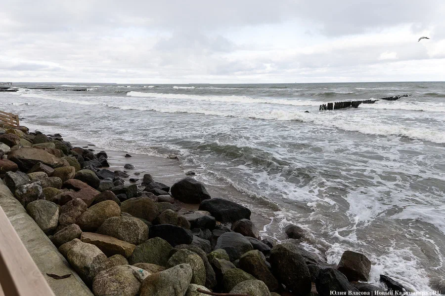 В Калининграде пройдет День Балтийского моря с лекциями ученых
