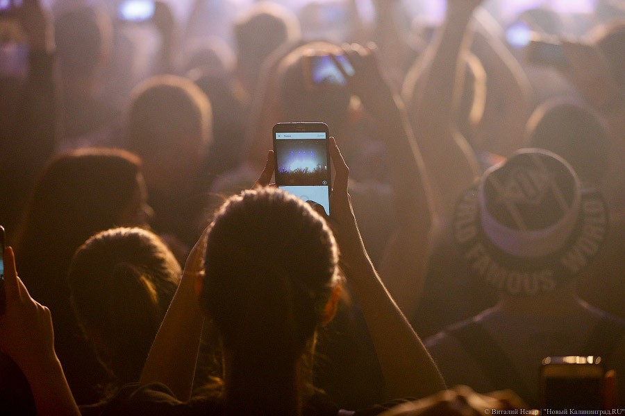 Мы наваливаем бас: как прошел первый концерт группы «Грибы» в Калининграде