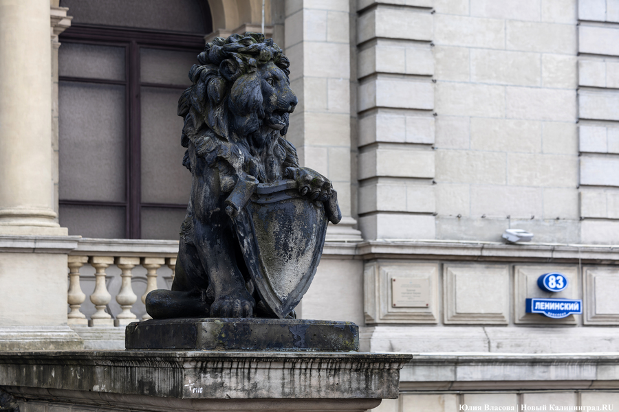 Восстановить и сохранить: скульптуры львов у бывшей биржи готовят к реставрации