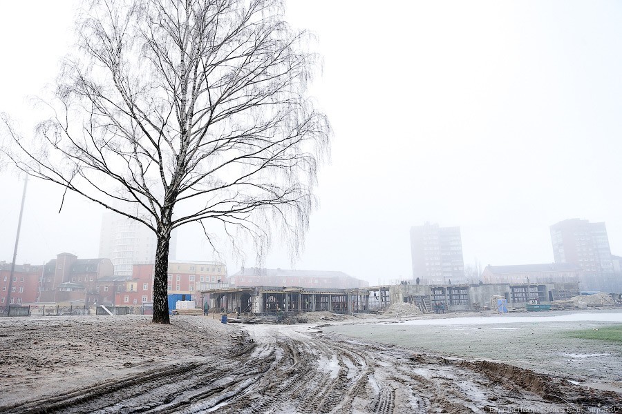 Фото — Виталий Невар, «Новый Калининград»