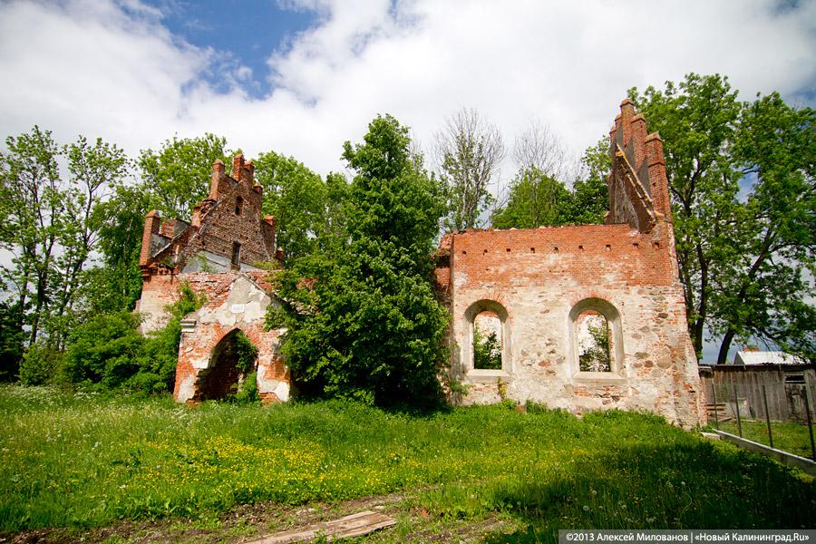 Забытые могилы: кирха и кладбище в поселке Тишино зарастают деревьями