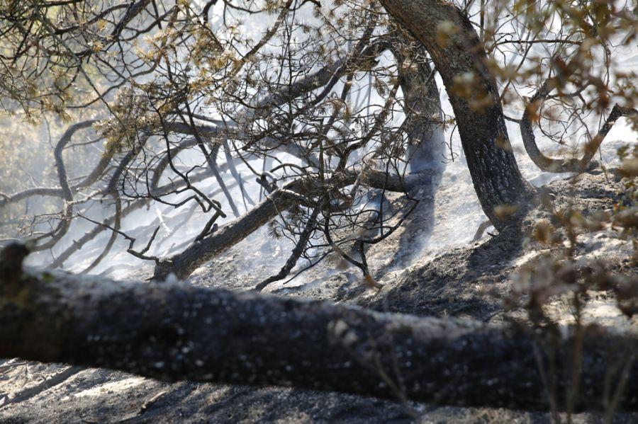Пожар на дюне Эфа: возгорание на Куршской косе тушили вертолёты