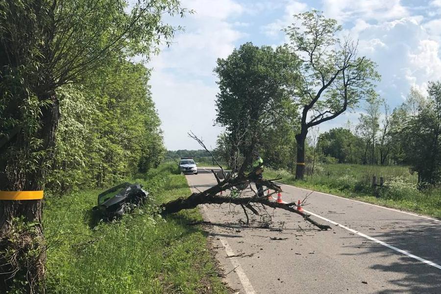 В Нестеровском районе «Фольксваген» сбил придорожное дерево, есть пострадавший (фото)