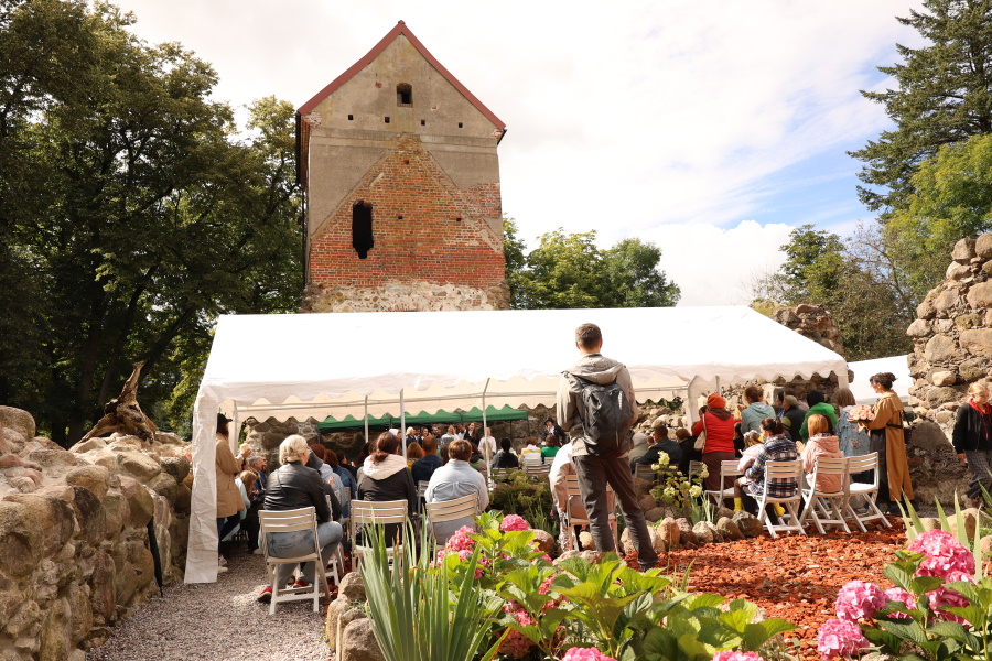 «Программа минимум выполнена»: как «оживили» руины кирхи в Ярославском (фото)