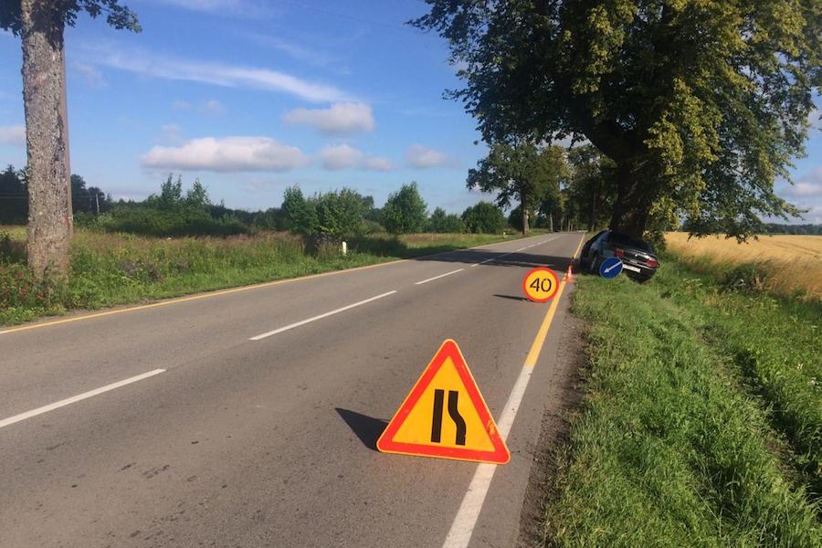 Пьяная женщина на «Опеле» врезалась в дерево, пострадали двое (фото)