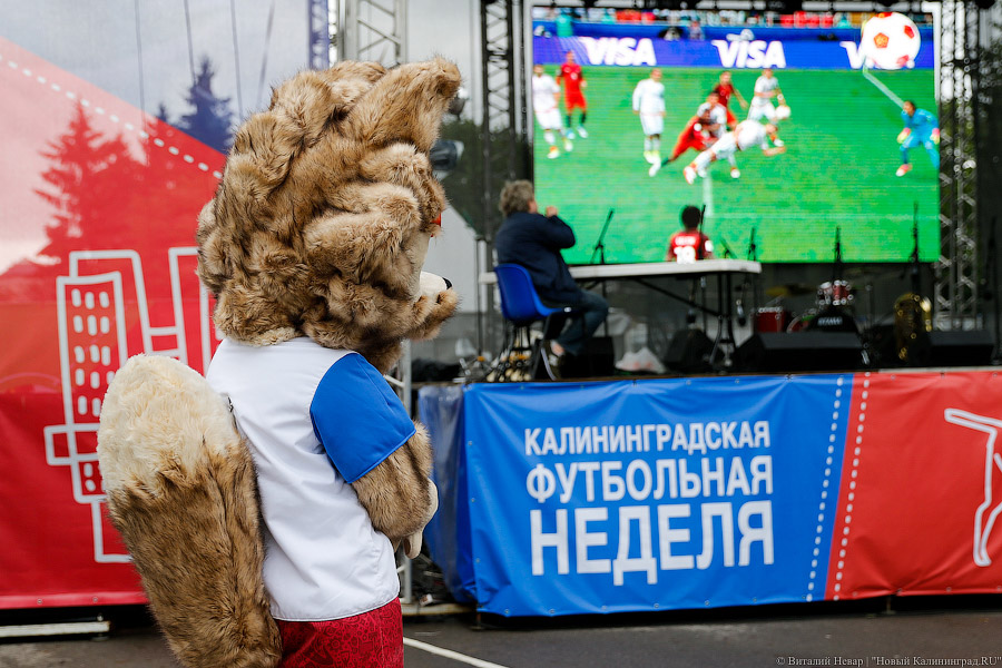Футбол против дождя: Калининград отметил финальный день Кубка конфедераций