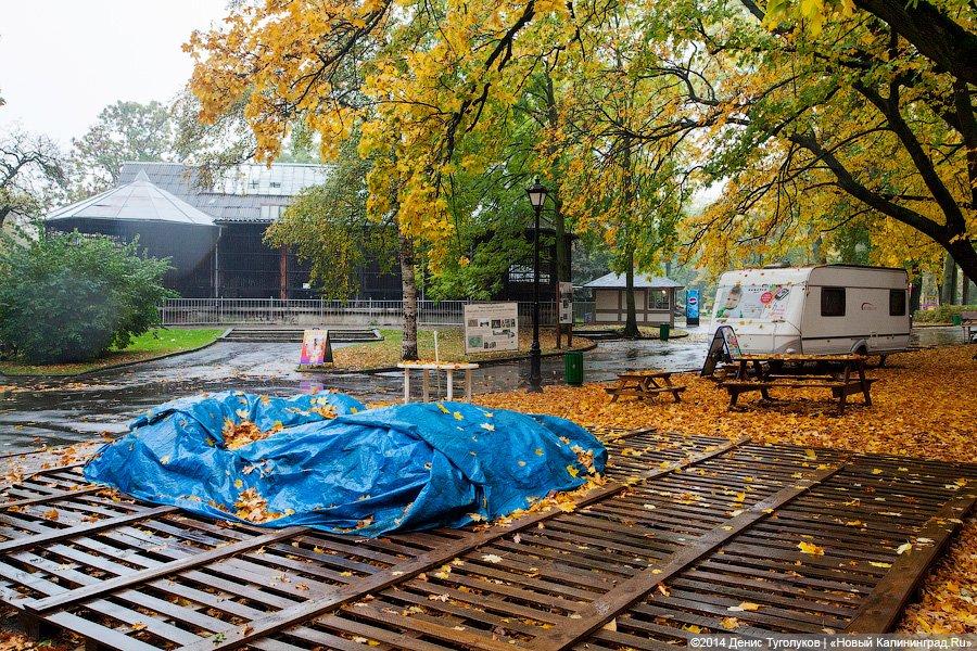 Звериные тропы: прогулка по зоопарку