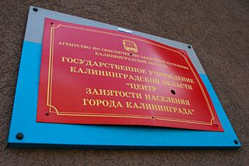 Самыми защищенными от безработицы оказались врачи