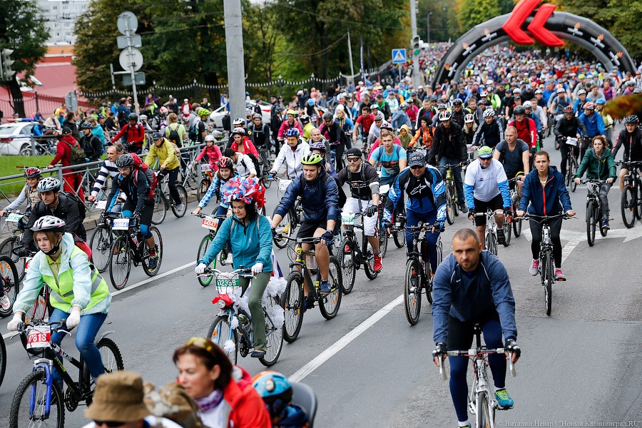 Тур до Кранца: как в Калининграде финишировал велосезон