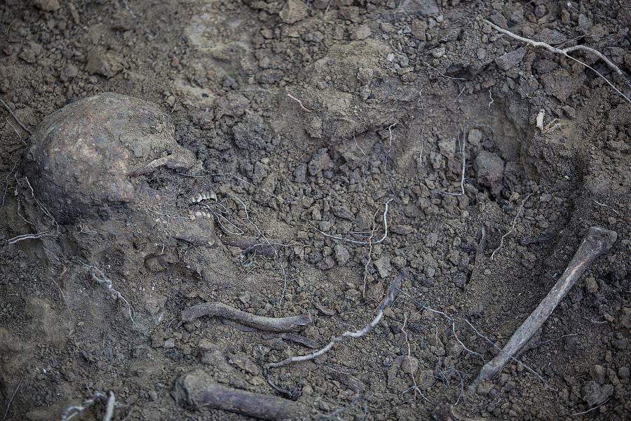 «Как будто это сенсация»: что известно о найденных в Калининграде мешках с костями