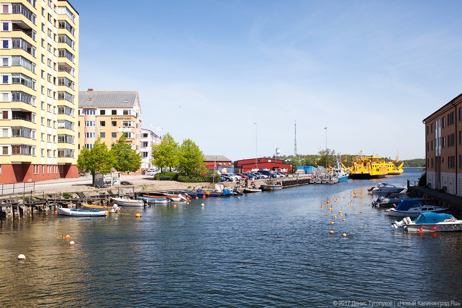 На пароме в Швецию: что такое «Велосипедный потоп» из Гдыни в Карлскруну