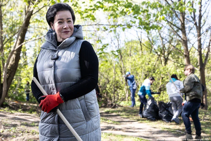 В Калининграде планируют провести месячник благоустройства