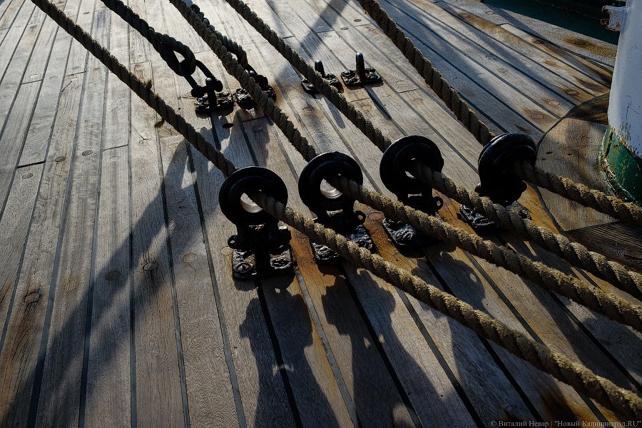 Виталий Невар / Новый Калининград