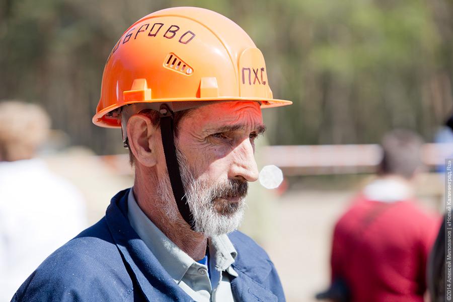 Лесной распил: как проходят соревнования лесорубов (фото)