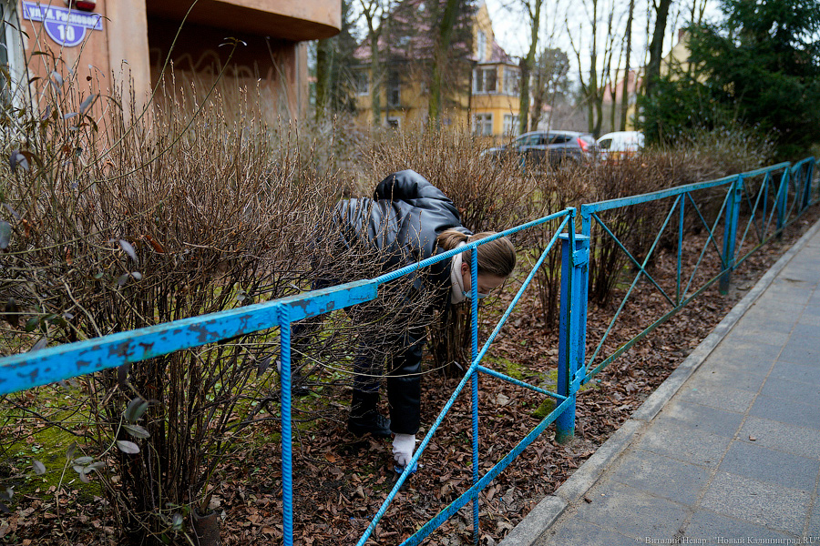 Теория целых окон: волонтеры пытаются спасти здание на Расковой с помощью уборки (фото)