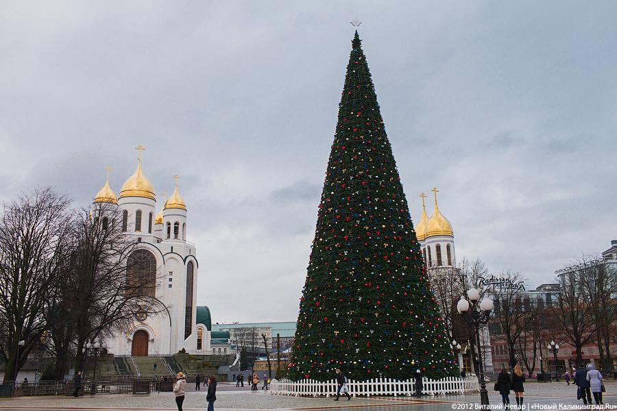 «Время наряжать ёлки»: фоторепортаж с улиц и торговых центров города