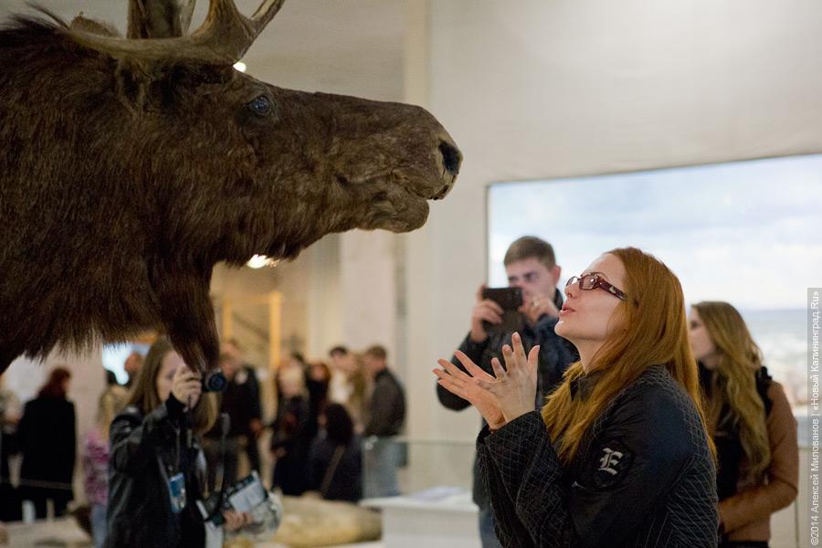 «Здесь можно провалиться»: как прошла «Музейная ночь» в Калининграде