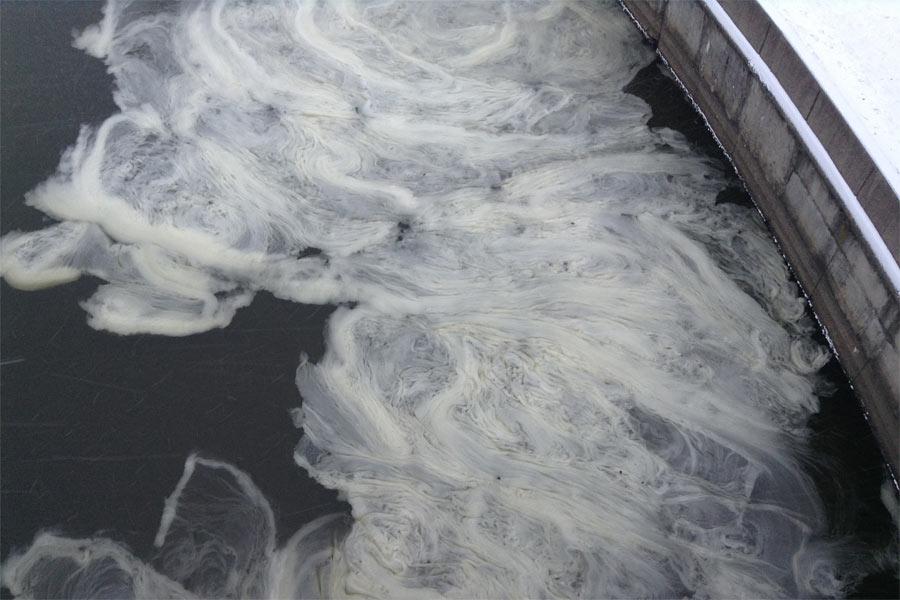 В Преголе вновь появилась пена неизвестного происхождения (фото)