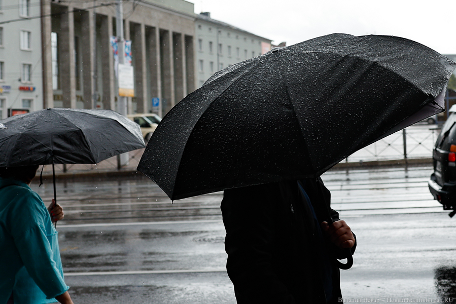 В Калининграде 31 декабря побит суточный температурный рекорд