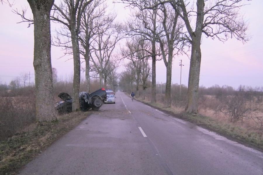 В Неманском районе машина врезалась в дерево, водитель скончался в «скорой» (фото)