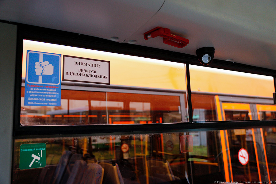 Оранжевое счастье: Калининграду передали 100 новых автобусов МАЗ (фото)