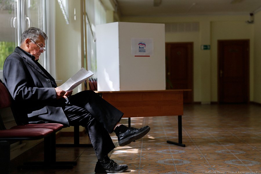 «Выбери меня!»: как проходили праймериз «Единой России» в Калининграде