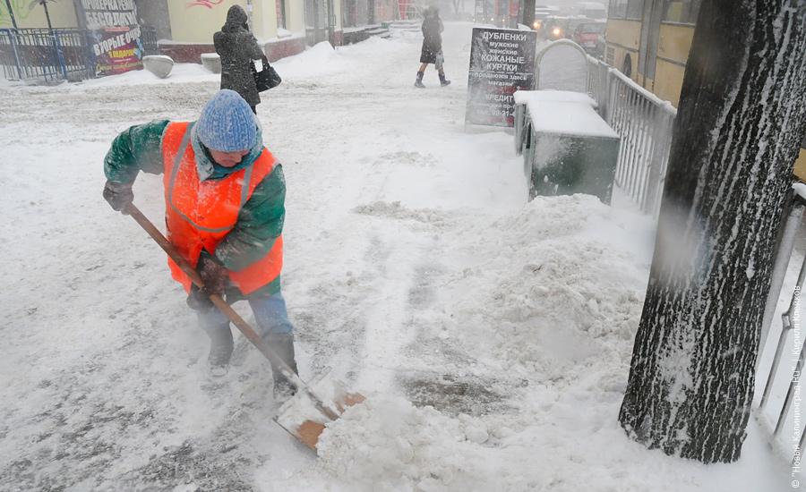 "Нападение белых мух": фоторепортаж "Нового Калининграда.Ru"