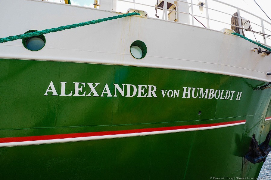 «Александр фон Гумбольдт II»: в Калининграде ошвартовался немецкий барк (фото)