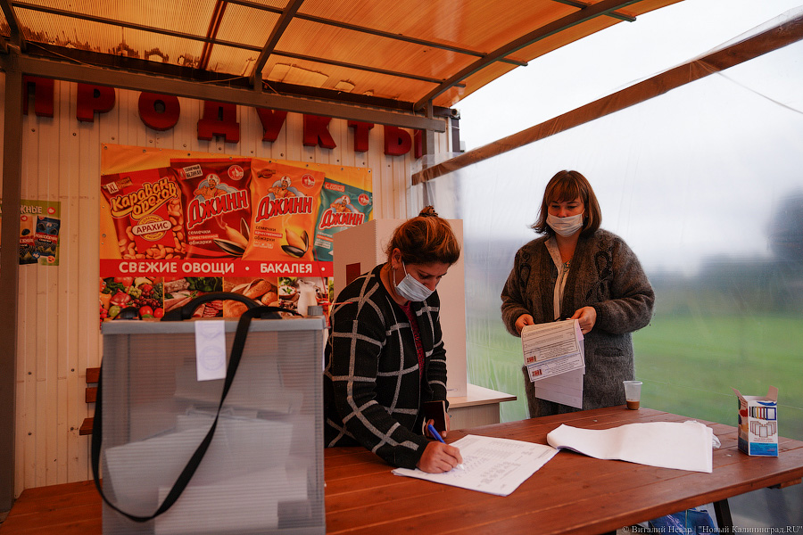 Магазинное голосование: как власти расширили простор для манипуляций на выборах