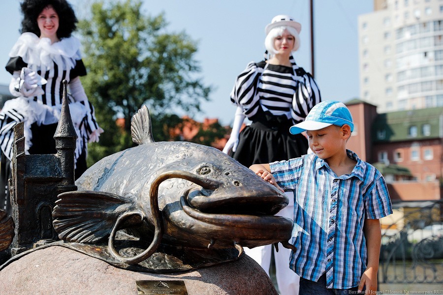 В Калининграде открыли памятник сому, которого нащупали водолазы под мостом