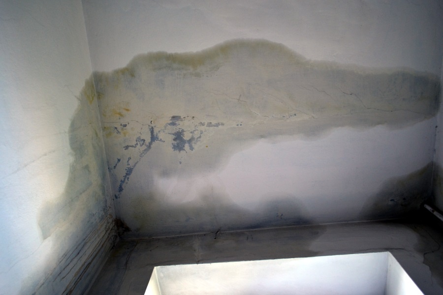 Фото — Татьяна Зиберова, «Новый Калининград»