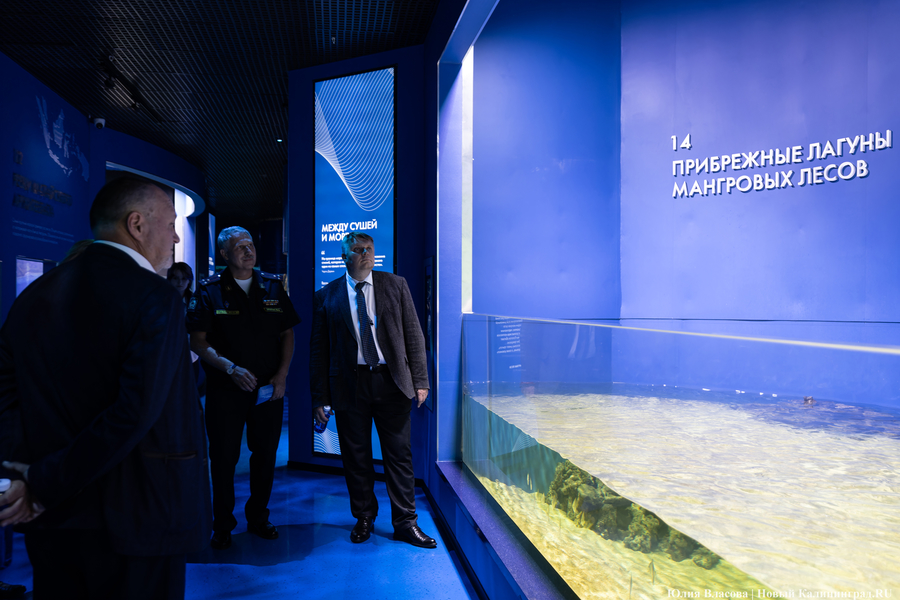 «Земля убывает»: как в Калининграде прошло официальное открытие «Планеты Океан»