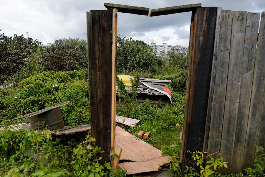 Дачники хотят денег: компания, снесшая садовые домики на Острове, о конфликте