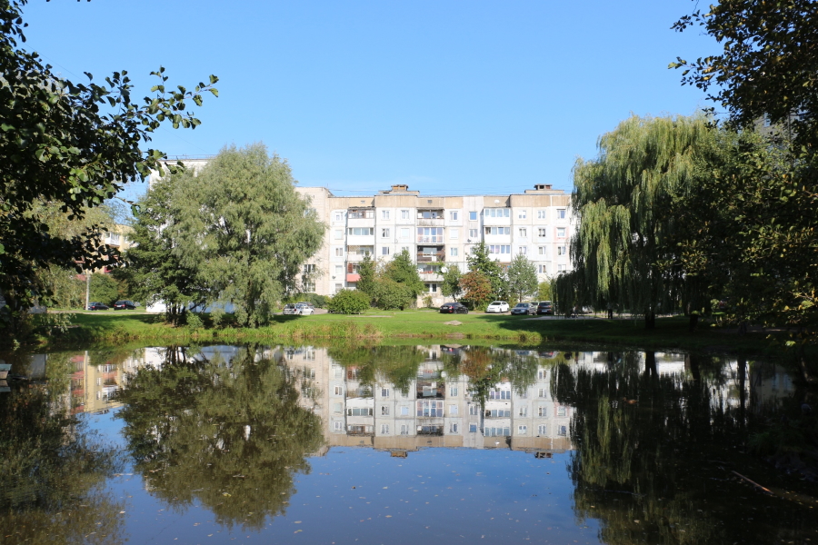 Фото пресс-службы администрации Калининграда