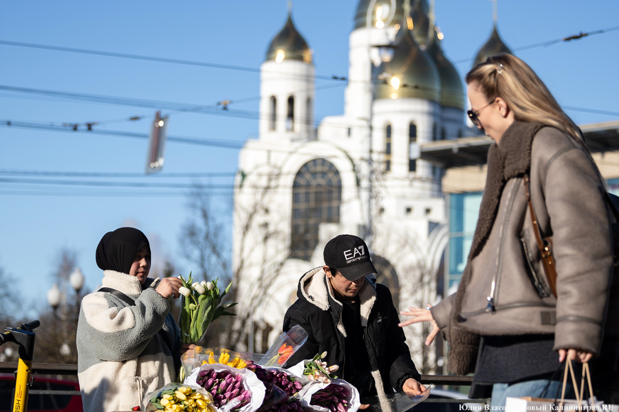 Цветочные баррикады: как выглядят улицы Калининграда 8 марта (фото)