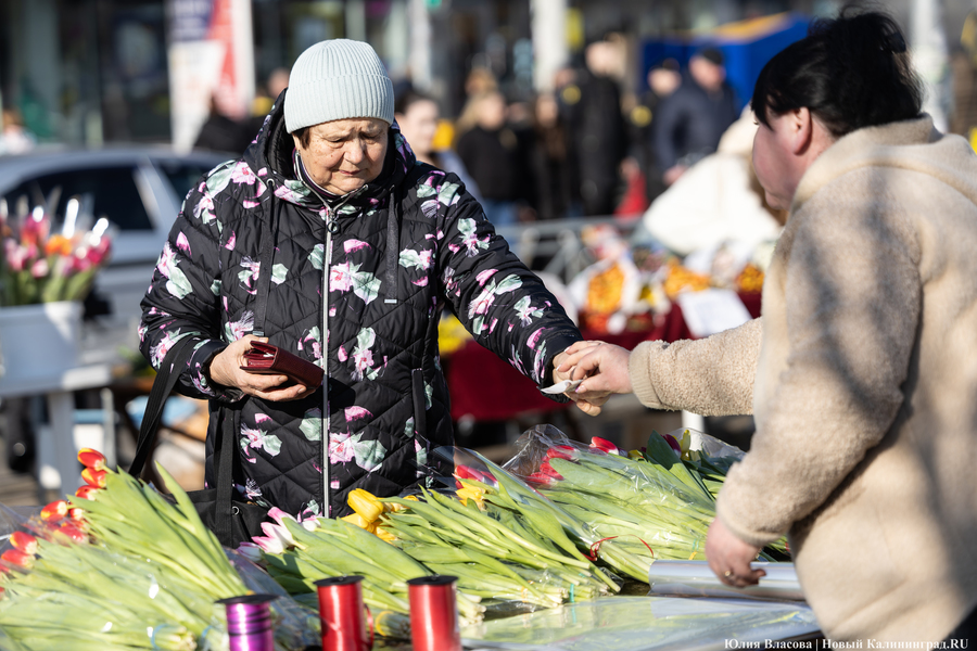 Кругом мимозы и тюльпаны: как выглядят улицы Калининграда 8 марта (фото)