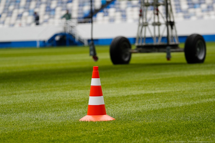 ФИФА: Чемпионат мира по футболу-2026 пройдет в США, Канаде и Мексике