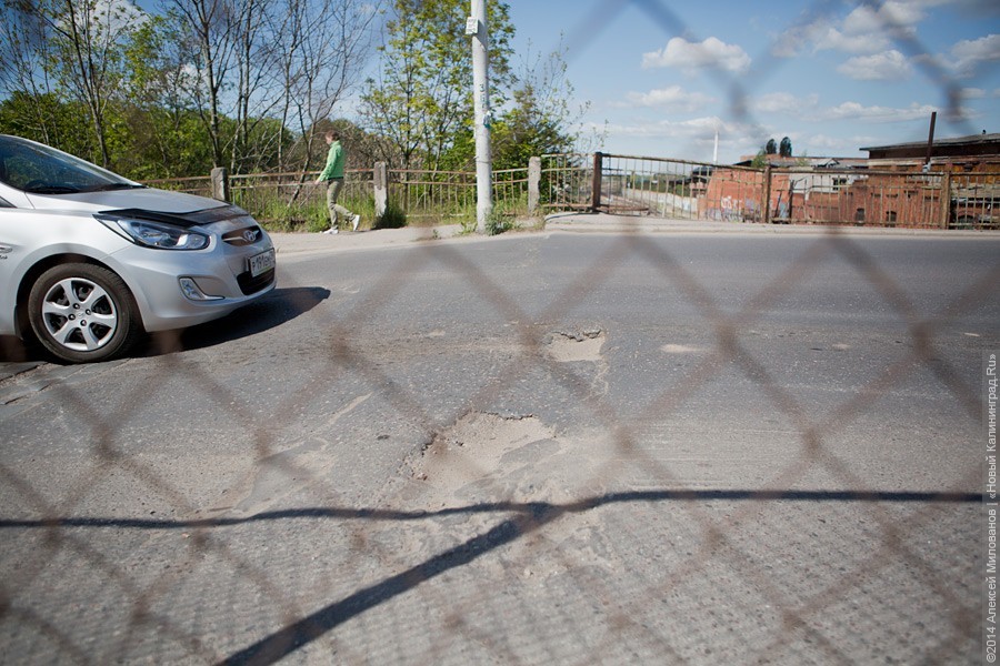 ДОСААФ: калининградцы считают, что женщины учат вождению лучше мужчин