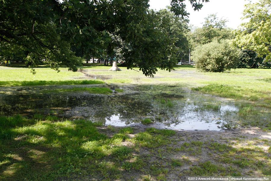 «Провал провалился»: в состоянии набережной Верхнего озера оказались виноваты все