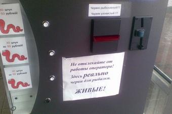 В Зеленоградске на АЗС установили автомат по продаже червей для рыбалки