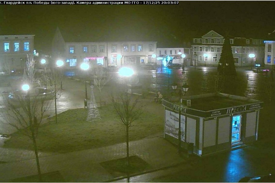 Гвардейск остался без огней на городской елке из-за вандалов