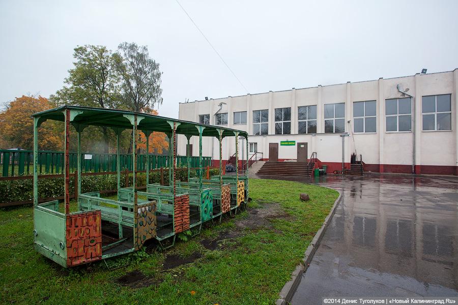 Звериные тропы: прогулка по зоопарку