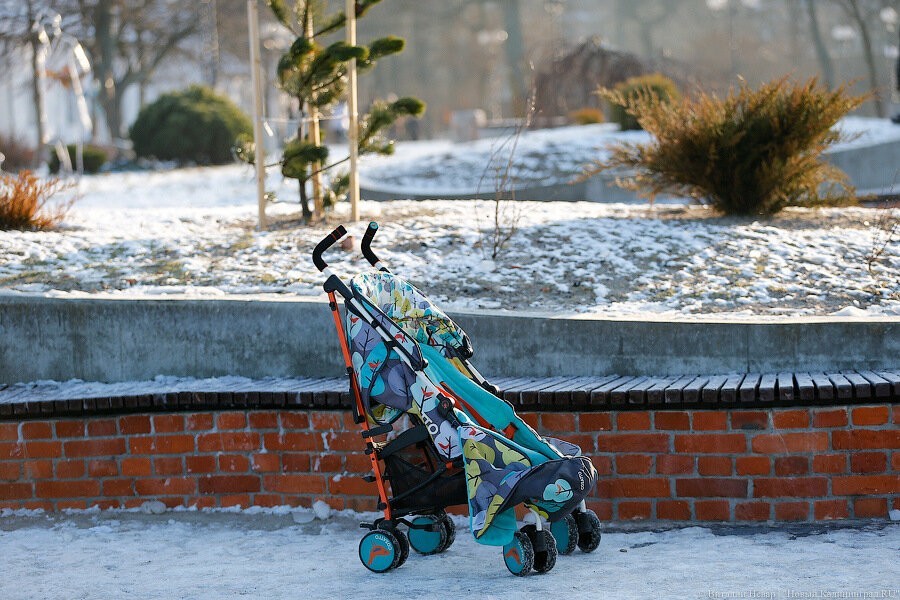 Жительницу Гусева обвиняют в мошенничестве с материнским капиталом