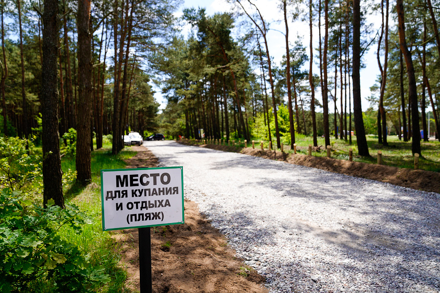 «Не врите мне»: фекалии в воде не портят отдых калининградским купальщикам (фото)